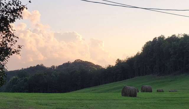 Large Home near Great Smoky Mountains and Knoxville