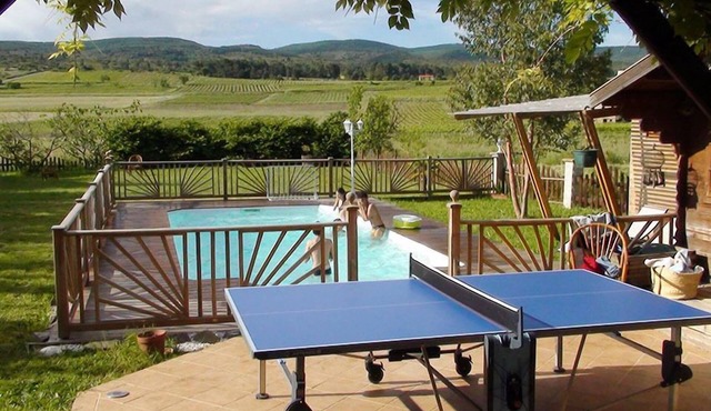 Large house facing vineyards, in a quiet setting