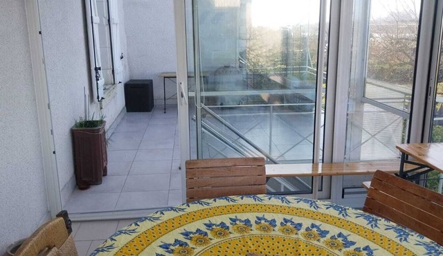 Large house Loire view + veranda + terrace + garden