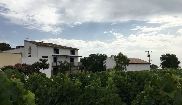 Large house in the heart of organic vineyards