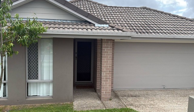 Large house with big room looking for lodger