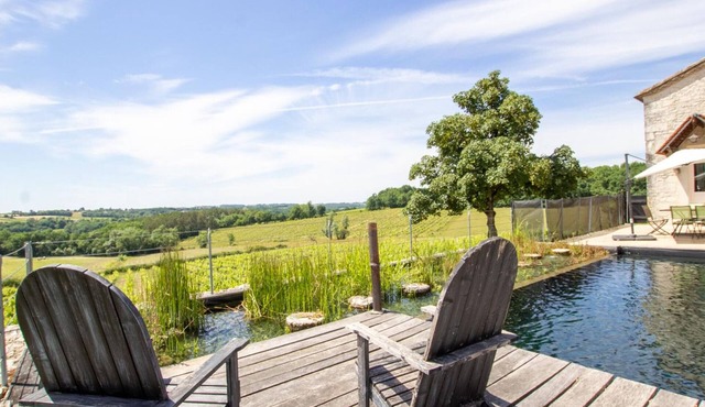 Large house with natural pool and garden in Dordogne