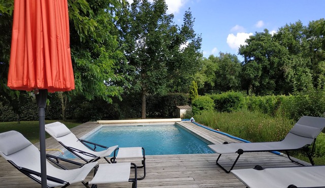 Large house with pool in the vineyards of Pessac Léognan near Bordeaux