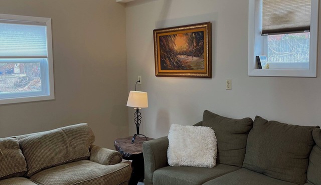 Large independent cottage, walking distance to campus and downtown Columbia