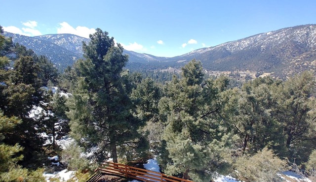 Large Lower Suite in Mountain View Home