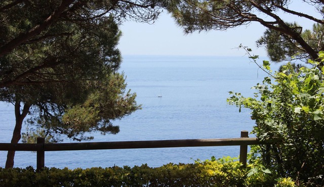 Large luxury home, stunning views, in green oasis, private garden, huge pool