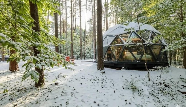 Large, luxurious geodesic dome - 07