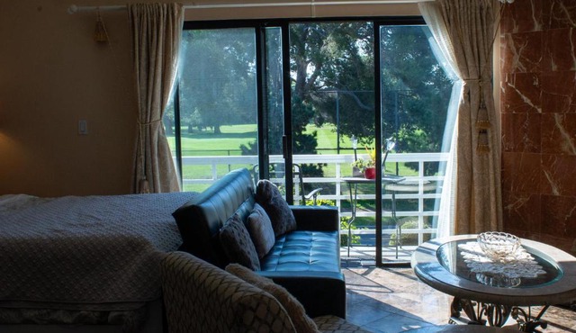 Large Luxury Studio with View in Santa Monica