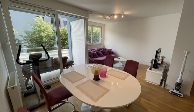 Large Modern 75m2 Flat and Free Parking