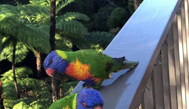 Large modern family home with views of bay and golf course. A quiet nature area