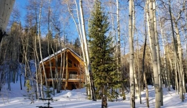 Large Mountain Cabin- Room for Multi Family-New Hot tub!