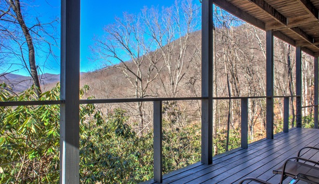 Large Mountain Views Hiking 25Mins to DT A-Ville Nature Emersion Deck
