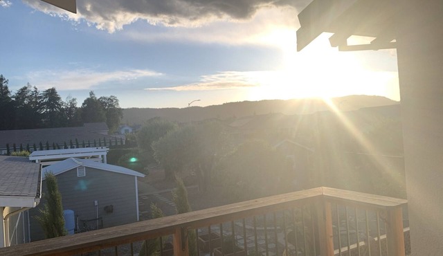 Large Napa Valley luxury home, professional outdoor chef kitchen, pool and spa.