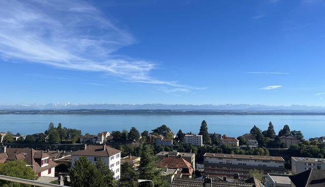 Large penthouse apartment with lake view