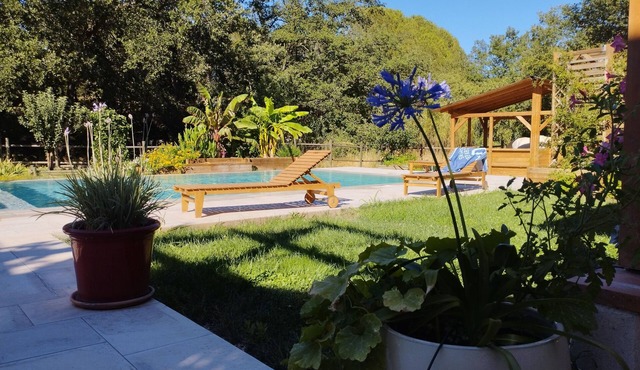 Large Pool under oaks