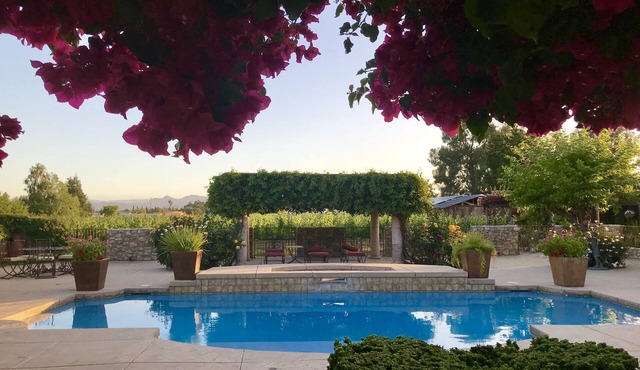 Large poolside King suite with private entrance-Villa Riposo Winery