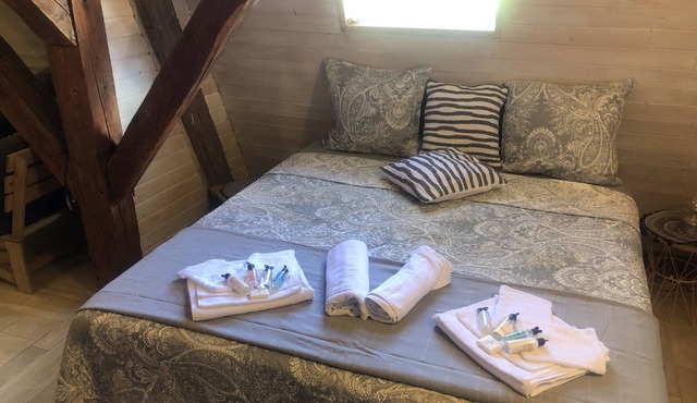Large private room in fully equipped apartment