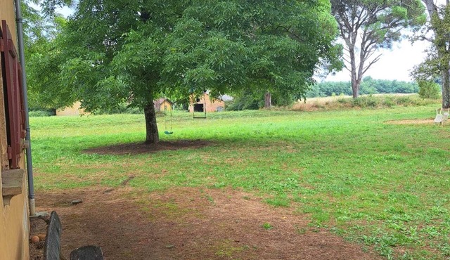 Large, quiet house in greenery