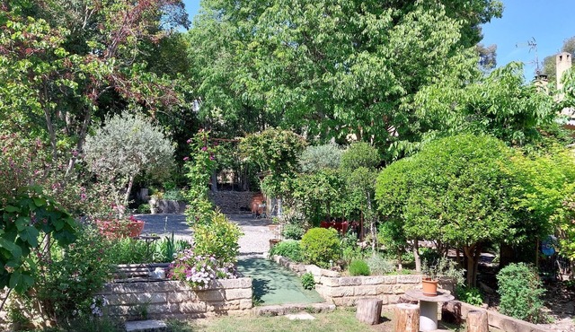 Large, quiet house with wooded garden and swimming pool, near town center (12')