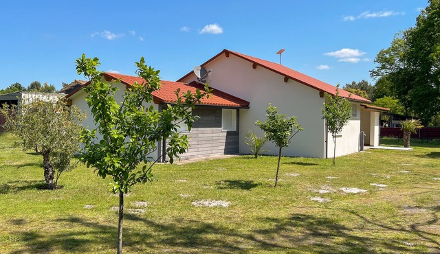 Large, quiet new house in the middle of nature, 15 minutes from the beach