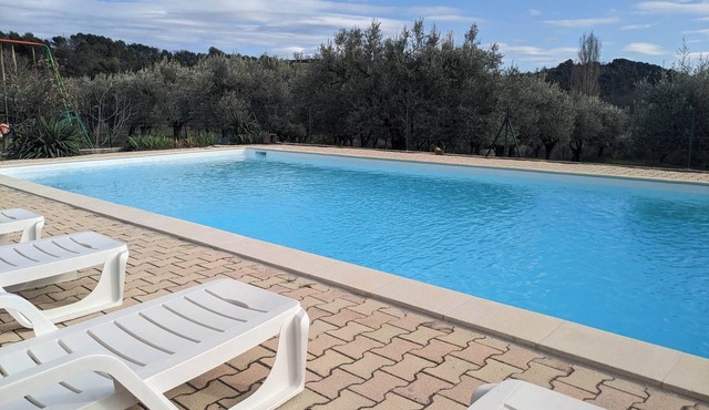 Large, relaxing gîte full of charm surrounded by olive trees - Pets welcome