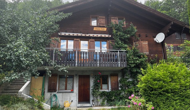Large romantic chalet in the countryside with Swedish stove!