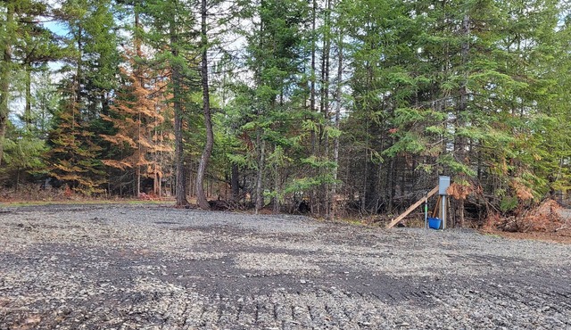 Large RV site with full hookups, surrounded by trees and nature.