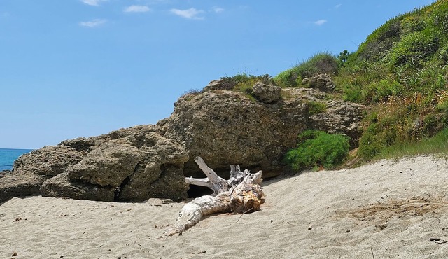 Large sea view apartment