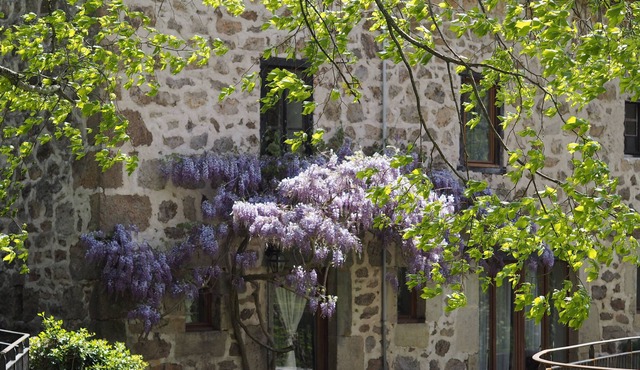 Large stone house by the river - Furnished tourist accommodation 3 stars