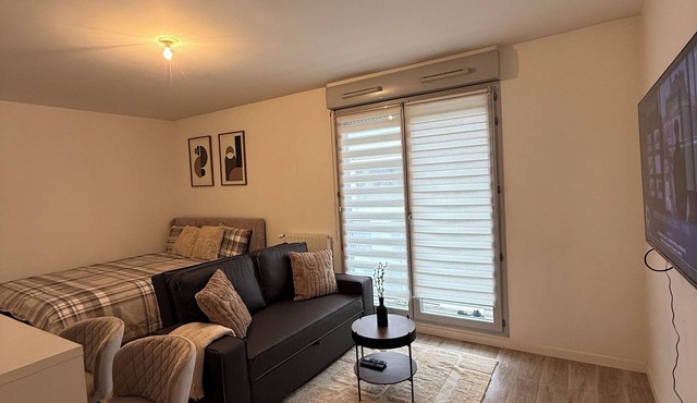 Large studio ideal for business trips