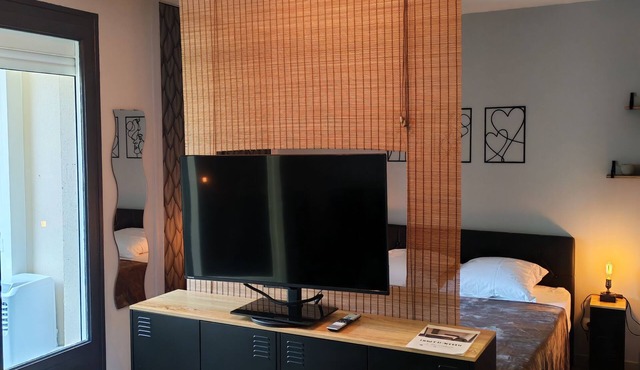 LARGE STUDIO - CLOSED LOGGIA - SHOWER - AIR CONDITIONING - BED 160 - RENOVATED