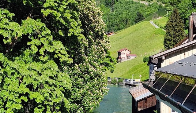 Large studio in Schwanden with mountains and river. 5 minutes to train station.