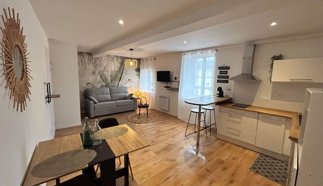 Large studio in the heart of Labruguière