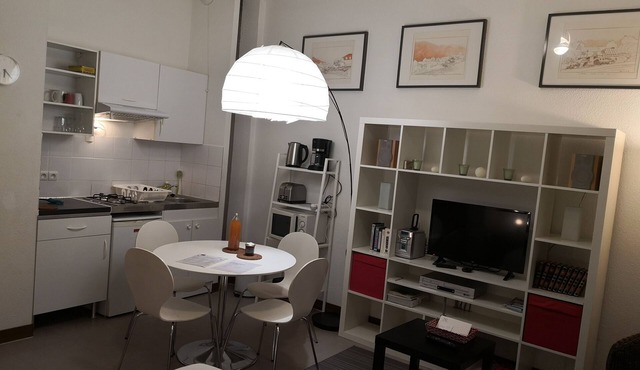 Large studio in the historic 3 TVA district of Grenoble city center