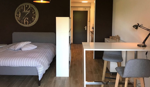 Large Studio Near Epfl And Lausanne City Center
