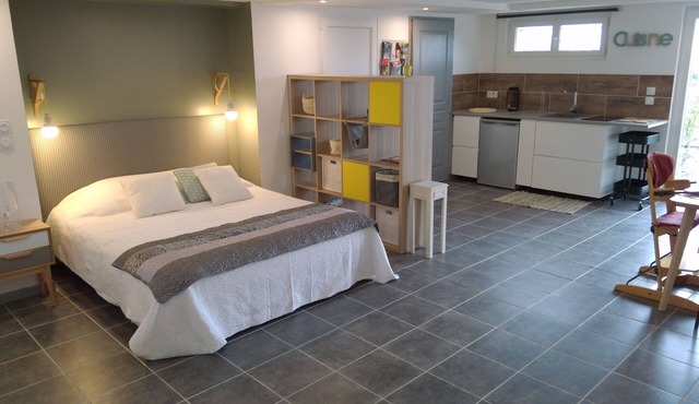 Large studio with terrace in Carcassonne close to the city and Cavayere lake