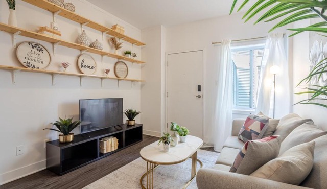 Large Suite in Downtown Montreal