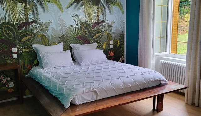 Large suite with access to living room, terrace, garden - Thiers center, train station