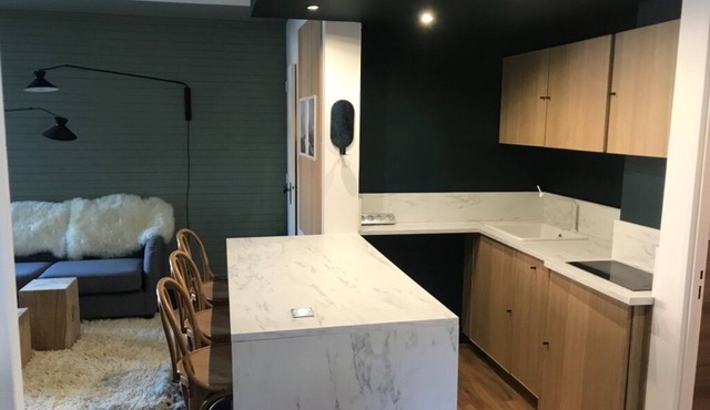 Large T3 60 m3 refurbished, at the foot of the slopes, tourist office and ESF