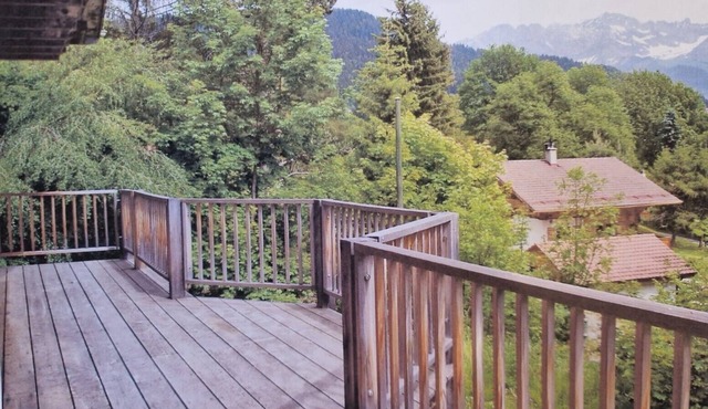 Large traditional chalet