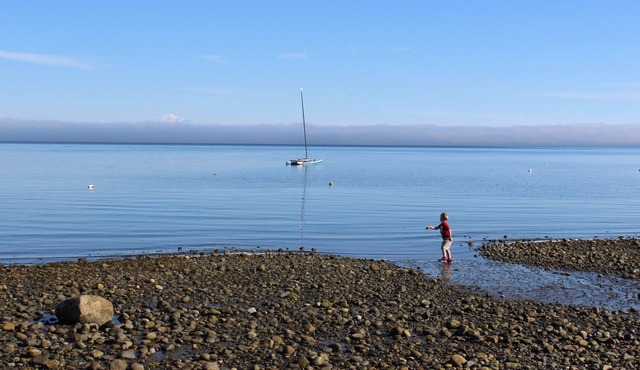 Large Vacation House near Tsawwassen 25 min to YVR