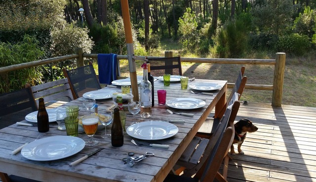 Large Villa 300m from the beach and La Palmyre Center