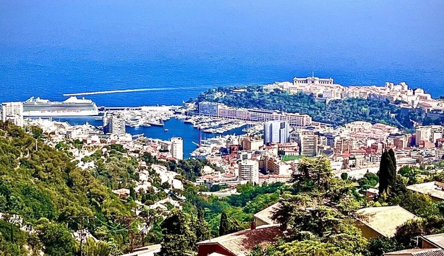 Large Villa, 4 bedrooms, unique panoramic view of Monaco, gardens, swimming pool