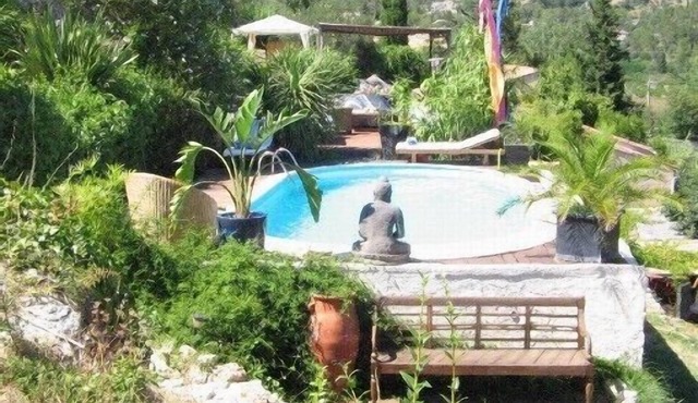 Large villa in the middle of lush vegetation