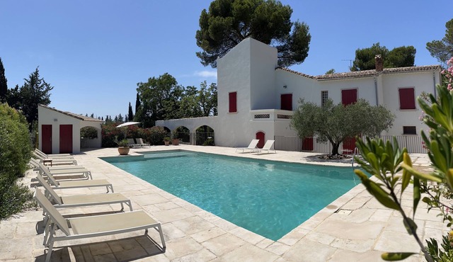 Large villa surrounded by pine trees in Provence