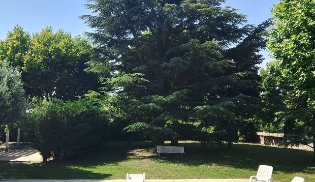 Large villa with 4 bedrooms and bathroom with swimming pool and shady park.