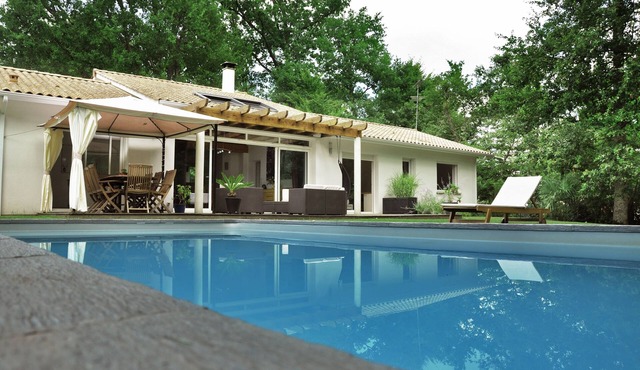 LARGE VILLA WITH SWIMMING POOL in the heart of the Bordeaux vineyards (Léognan)