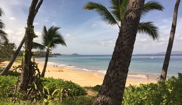 Largest ‘One of a Kind’ 2-bd 2-Bth Condo 🏄 New Air Conditioner throughout🌴