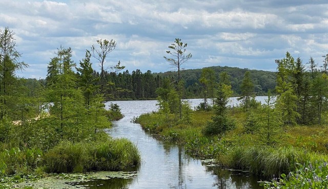 Larrabee Lake Retreat - The Lodge & Cottage