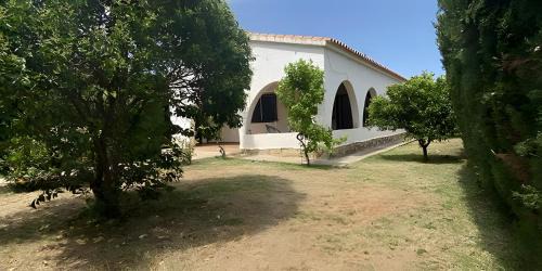 Las fuentes